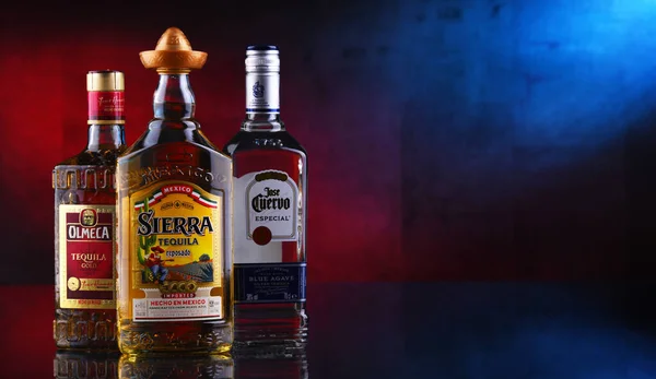 Poznan Pol Gen 2020 Bottiglie Dei Migliori Marchi Mondiali Tequila — Foto Stock