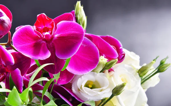 Összetétel Frissen Vágott Virágcsokorral — Stock Fotó