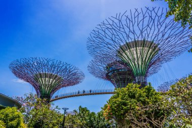 Singapur - 29 Şubat 2020: Körfez kıyısındaki bahçeler, Singapur 'un orta kesimindeki doğa parkı, Marina Reservoir' a komşu.