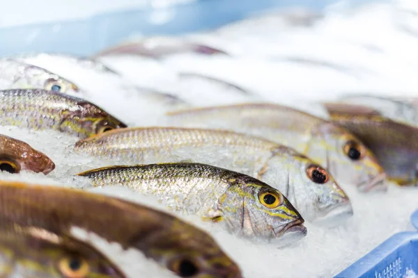 Ryby Nabízené Prodeji Supermarketu — Stock fotografie