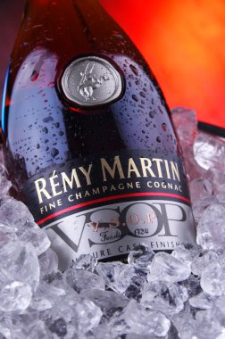 POZNAN, POL - 7 APR 2020: Bir şişe Remy Martin, Konyak Güzel Şampanya üzerine uzmanlaşmış bir marka.
