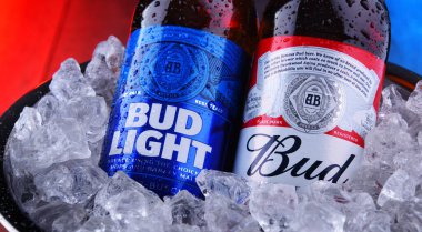 POZNAN, POL - 9 APR 2020: Anheuser-Busch tarafından üretilen popüler Amerikan biraları Bud ve Bud Light şişeleri.