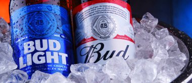 POZNAN, POL - 9 APR 2020: Anheuser-Busch tarafından üretilen popüler Amerikan biraları Bud ve Bud Light şişeleri.