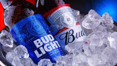 POZNAN, POL - 9 APR 2020: Anheuser-Busch tarafından üretilen popüler Amerikan biraları Bud ve Bud Light şişeleri.