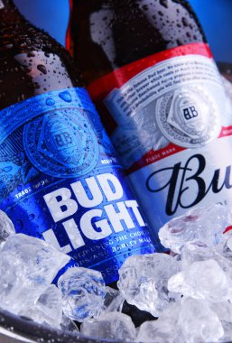 POZNAN, POL - 9 APR 2020: Anheuser-Busch tarafından üretilen popüler Amerikan biraları Bud ve Bud Light şişeleri.