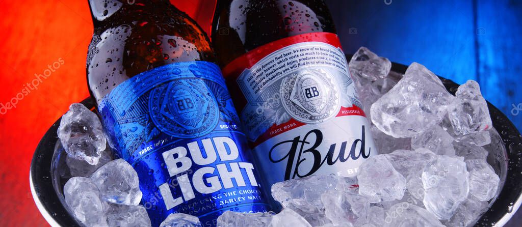 POZNAN, POL - APR 9, 2020: Bottles of Bud and Bud Light, popular American beers, produced by Anheuser-Busch.