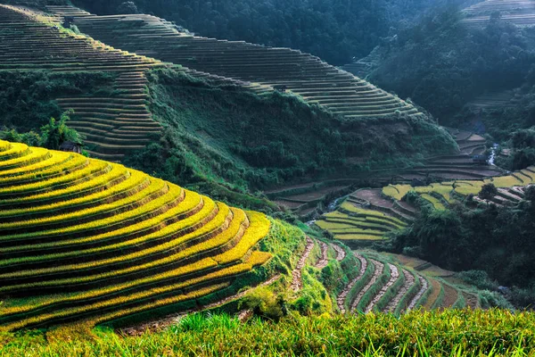 Vista Paisagem Campos Arroz Distrito Cang Chai Província Yen Bai — Fotografia de Stock