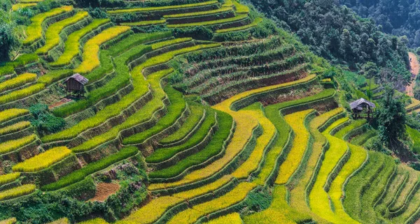 Vista Paisagem Campos Arroz Distrito Cang Chai Província Yen Bai — Fotografia de Stock
