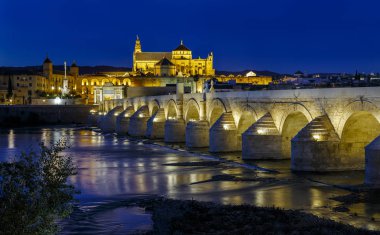eski Roma köprüsü ve Kulesi calahora gece, cordoba