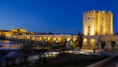 eski Roma köprüsü ve Kulesi calahora gece, cordoba