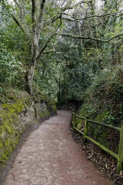 Kaple San Juan de Gazteluatxe se nachází na skalnatém poloostrově v regionu Baskicko, Španělsko. — Stock fotografie