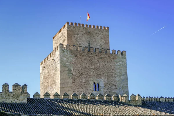 Kastil Ciudad Rodrigo, Provinsi Salamanca, Castilla Leon, Spa — Stok Foto