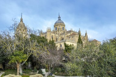 Cathedral in the historical center of the city of Salamanca Spain
