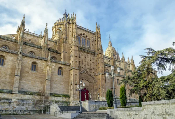 Cathedral in the historical center of the city of Salamanca Spain — Stok fotoğraf