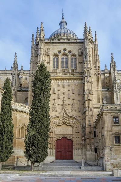 Cathedral in the historical center of the city of Salamanca Spain — 스톡 사진