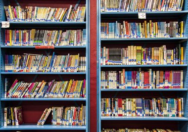 Bir yığın kitap raf