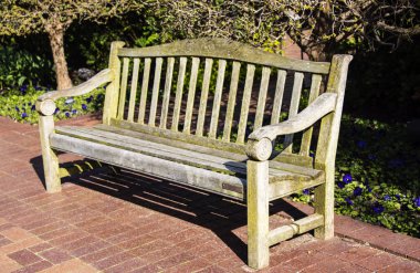 Boş park bankında doğrudan güneş ışığında oturan yeşil yosun ile.