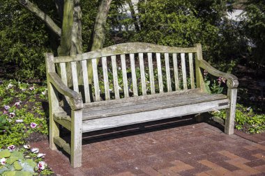 Boş park bankında doğrudan güneş ışığında oturan yeşil yosun ile.