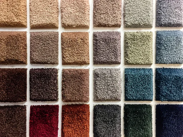 카펫 색상 샘플. — 스톡 사진