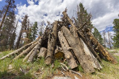 Rocky Dağları'nda woodpile