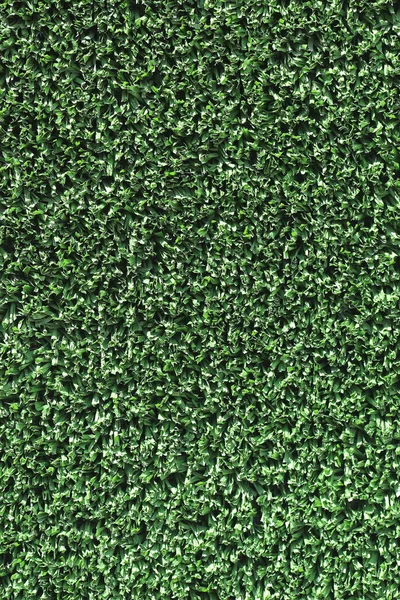 Artificial Grass background — Stock Photo, Image