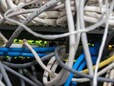 Internet anahtar sunucusu raf olan Ethernet kablosu bağlı. Bilgi teknolojisi, bilgisayar ağı, telekomünikasyon, rj45.