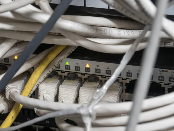 Kabel ethernet terhubung ke saklar internet di rak server. Teknologi informasi, jaringan komputer, telekomunikasi, rj45 . — Stok Foto