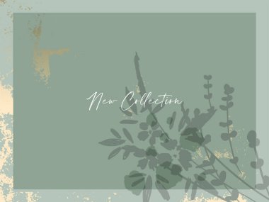  Moda el çizimi arka plan dokuları ve çiçek bitkisel elementler