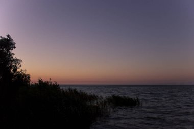 Karadeniz, üzerinde görülen ağaç, su ve güzel gökyüzü karanlık gün batımı