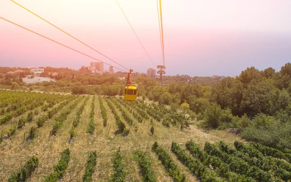 Cabina de teleférico en un teleférico en las montañas, en el suelo se puede ver el campo de uva — Foto de Stock