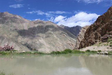 güzel dağ manzarası. Kuzey Hindistan'ın vahşi doğa
