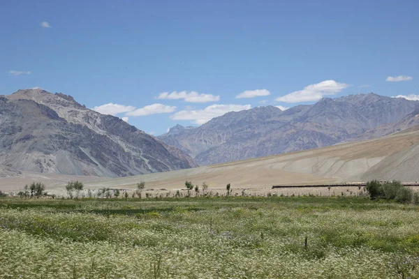 Bellissimo paesaggio montano. natura selvaggia dell'India settentrionale — Foto Stock