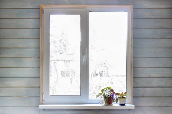 Groot licht raam, bloemen op de vensterbank en houten muur, ik — Stockfoto