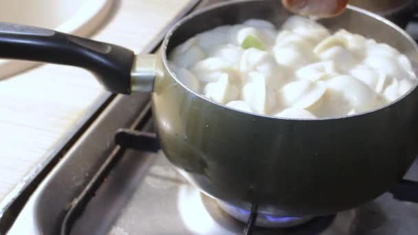 Knedlíky Vaří Vroucí Vodě Kuchyni Kuchař Míchá Vývar Vařením Způsobuje — Stock video