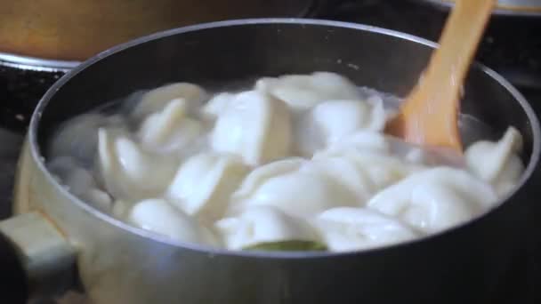 Meat Dumplings Cooked Boiling Water Kitchen Chef Stirring Broth Cooking — Stock Video