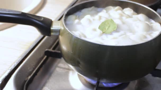 Мясные Пельмени Готовятся Кипящей Воде Кухне Chef Stirring Broth Cooking — стоковое видео