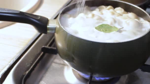 Bolinhos Carne São Cozidos Água Fervente Cozinha Chef Está Mexendo — Vídeo de Stock