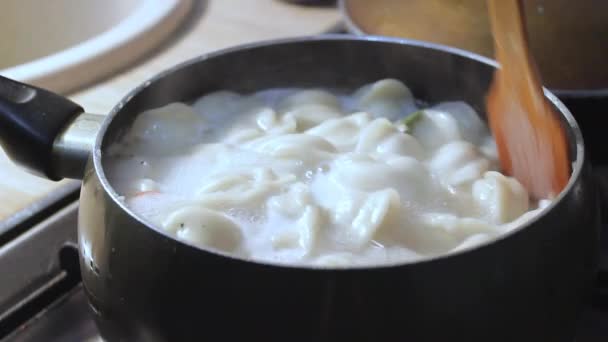 Etli Börekler Mutfakta Kaynar Suda Pişirilir Aşçı Çorbayı Bir Yemek — Stok video