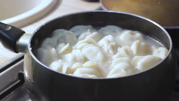 Vleesknoedels Worden Keuken Kokend Water Gekookt Chef Kok Roert Bouillon — Stockvideo