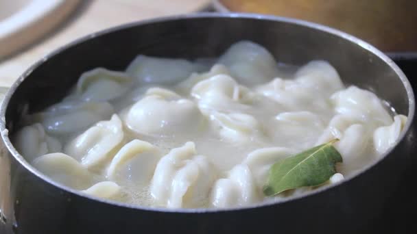 Vleesknoedels Worden Keuken Kokend Water Gekookt Chef Kok Roert Bouillon — Stockvideo