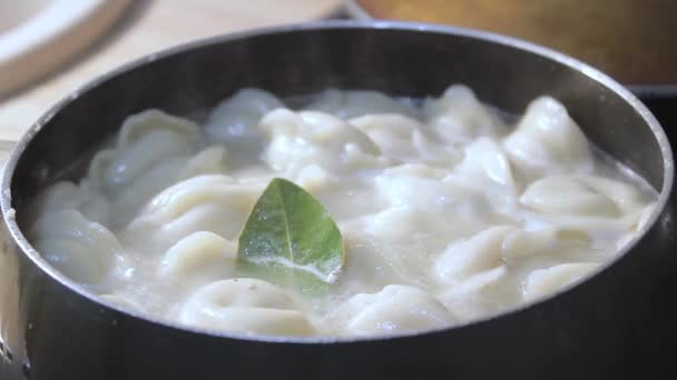 Meat Dumplings Cooked Boiling Water Kitchen Chef Stirring Broth Cooking — Stock Video