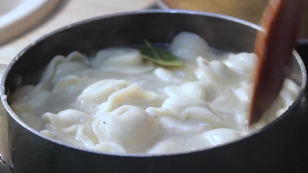 Albóndigas Carne Cocinan Agua Hirviendo Cocina Chef Está Agitando Caldo — Vídeos de Stock