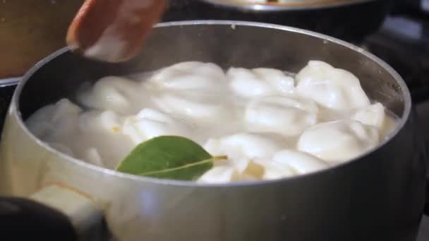 肉饺子在厨房的沸水中煮熟 厨师用炊具搅拌肉汤 引起食欲 — 图库视频影像