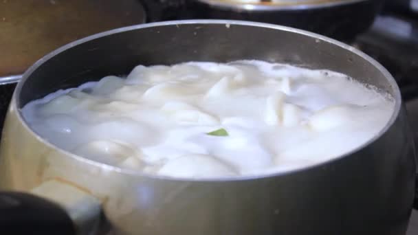 Meat Dumplings Cooked Boiling Water Kitchen Chef Stirring Broth Cooking — Stock Video