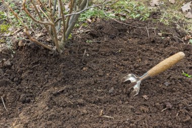 Toprakla ilgilenmek ve otları ayıklamak için bir çapa, topraktan sarkan otları ve enkazı görebilirsiniz. Gezegeni koru, bitkileri ve toprağı koru. 22 Nisan 'daki Dünya Günü' nü hatırlatması için..