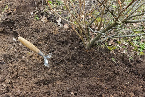 a hoe for weeding and caring for the land, sticking out of the soil, you can see weeds and debris. Protect the planet, care for plants and soil as a reminder of earth day on April 22.