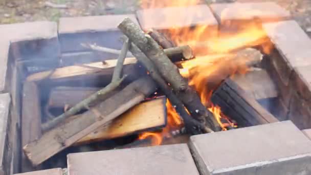 Dem Aus Steinen Gefertigten Grill Brennt Brennholz Ein Mann Legt — Stockvideo
