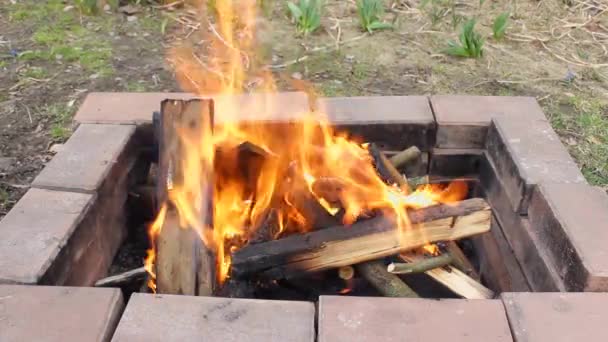柴火在石头做的烤炉里燃烧着 舒适的气氛靠近火堆 大量的烟被风吹散了 家庭野餐的性质 — 图库视频影像