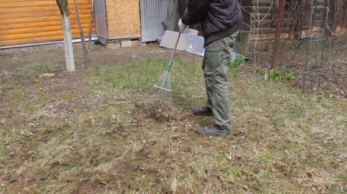 Koronavirüsten korunmak için tek kullanımlık maske takan genç adam, ağaç yapraklarından bahar temizliği yapıyor. Rüzgar saçlarını değiştiriyor. Doğa koruma kavramı ve çöpten orman temizliği kavramı.