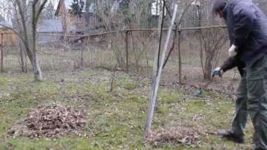 Koronavirüsten korunmak için tek kullanımlık maske takan genç adam, ağaç yapraklarından bahar temizliği yapıyor. Rüzgar saçlarını değiştiriyor. Doğa koruma kavramı ve çöpten orman temizliği kavramı.